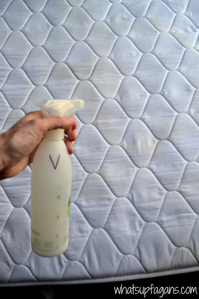 How to Easily Remove Old Pee Stain and Smell from a Mattress