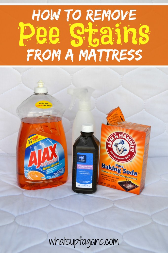 How to Remove Pee Stains from your mattress, and remove the smell!
