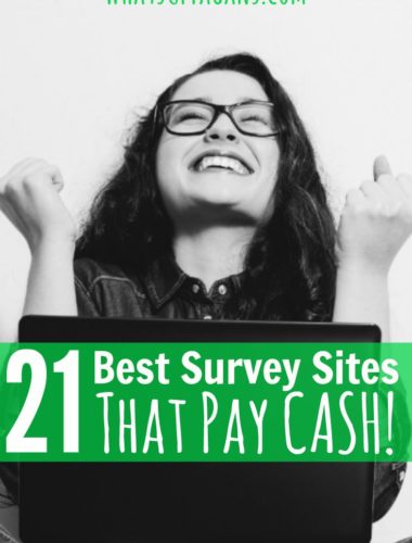 It is awesome to get paid to take surveys online, especially when you get paid cash! Love this great list of the best survey sites. It's a great way for moms (or anyone!) to make money online.