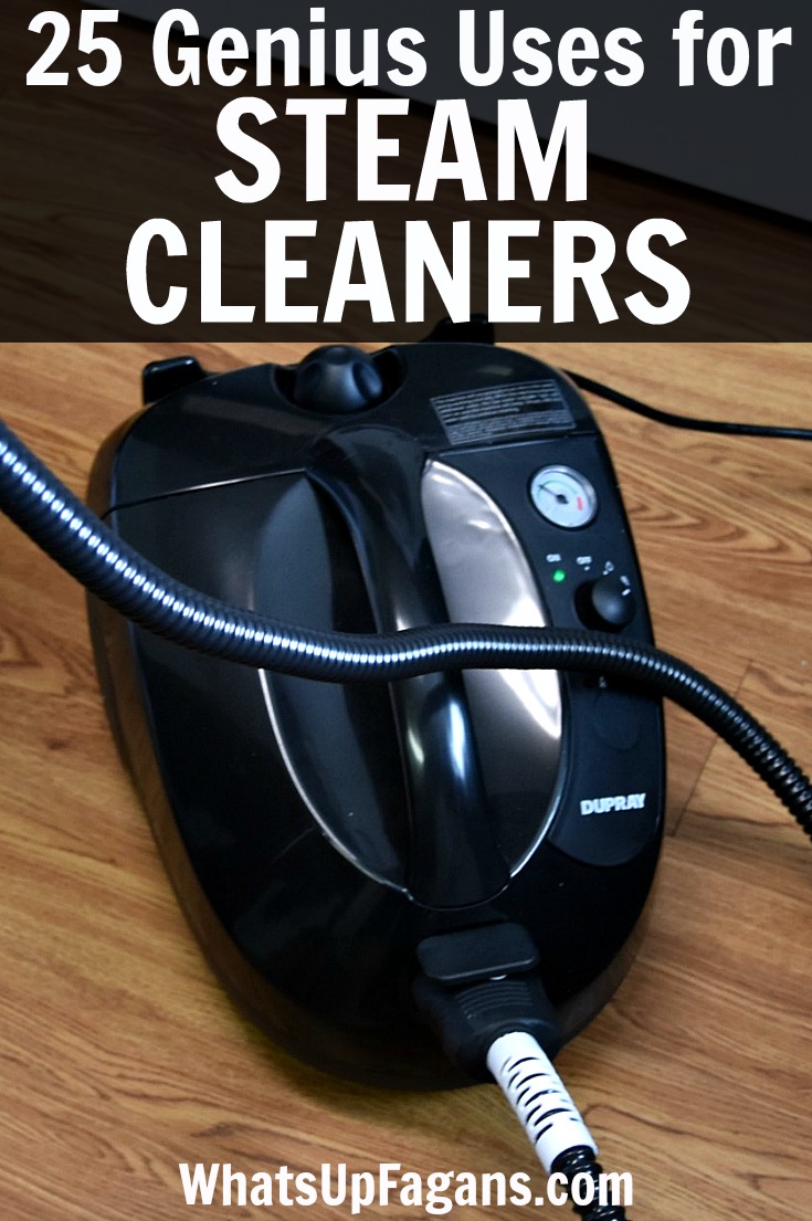 Steam Cleaner Uses for inside and outside the home
