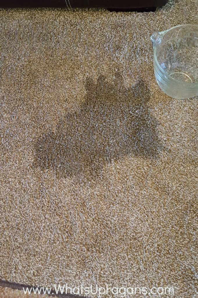 getting old stains out of carpet