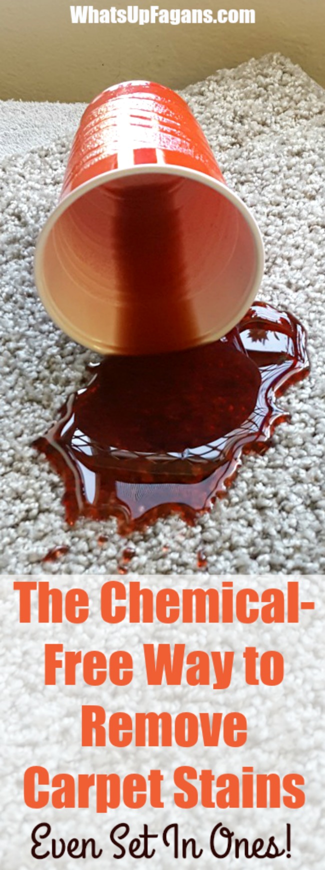 Spot Cleaner | Carpet Stain Removal | DIY Carpet stain remover | chemical-free natural stain remover | cleaning tip hack tutorial | red Kool-Aid spill stain | Coffee stain | Rug Stain | Grape Juice Stains 