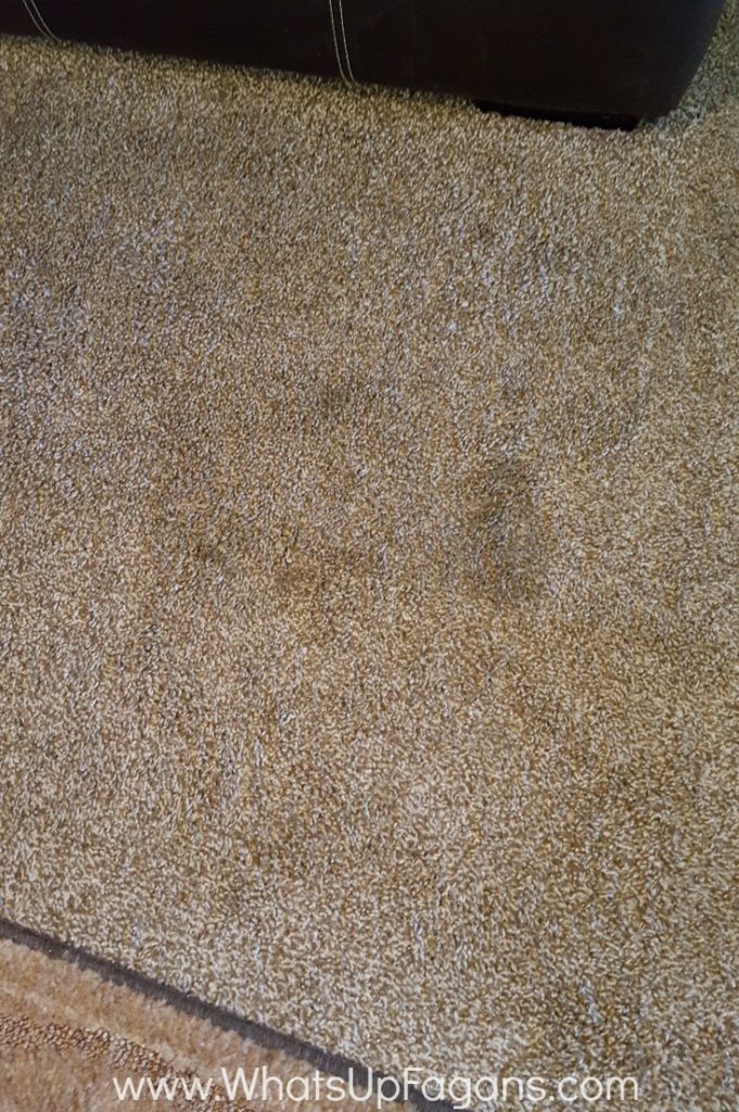 older carpet stains