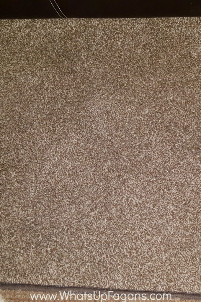 stain treating old carpet stains