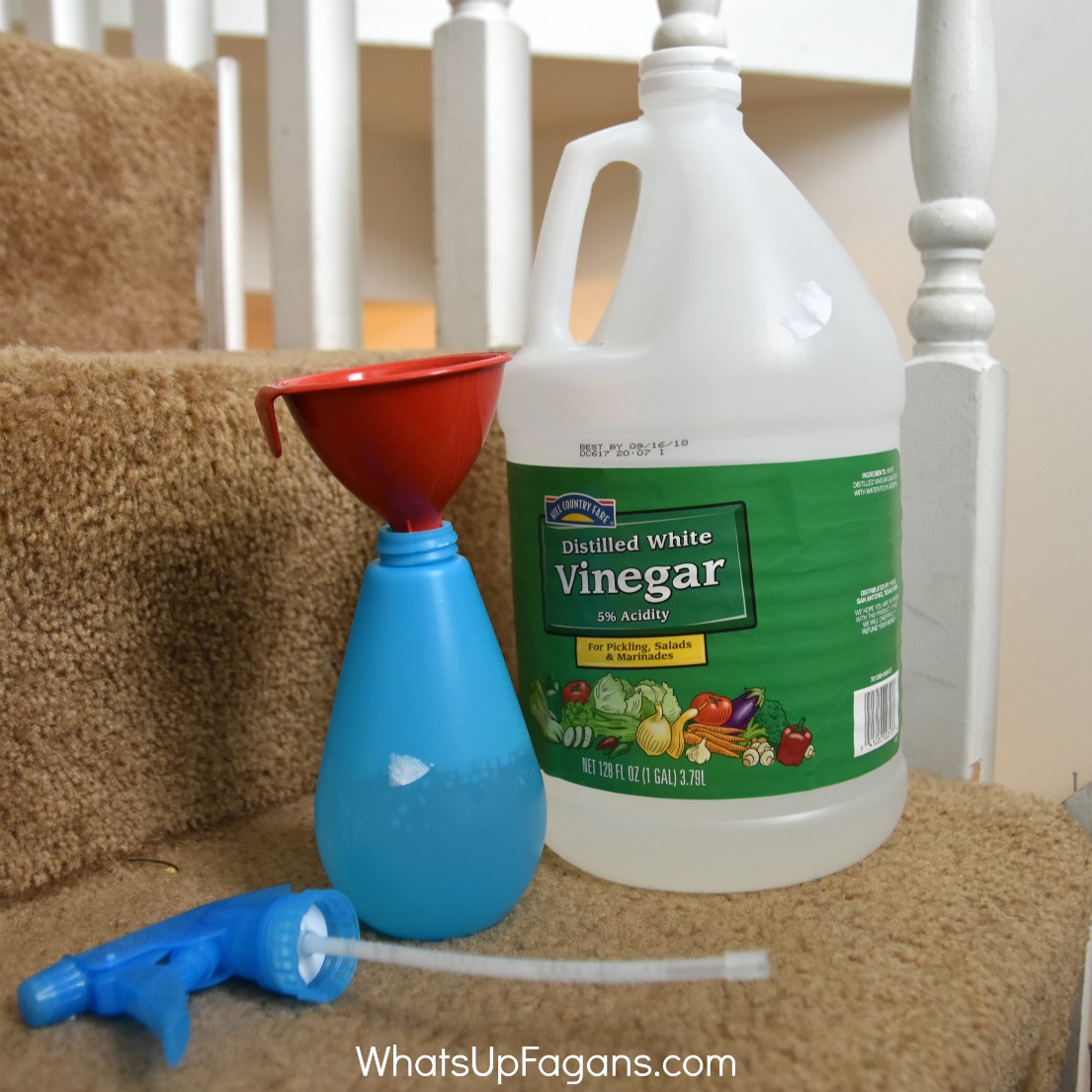 Remove Poop Stains and Smells from Carpets with this DIY Solution