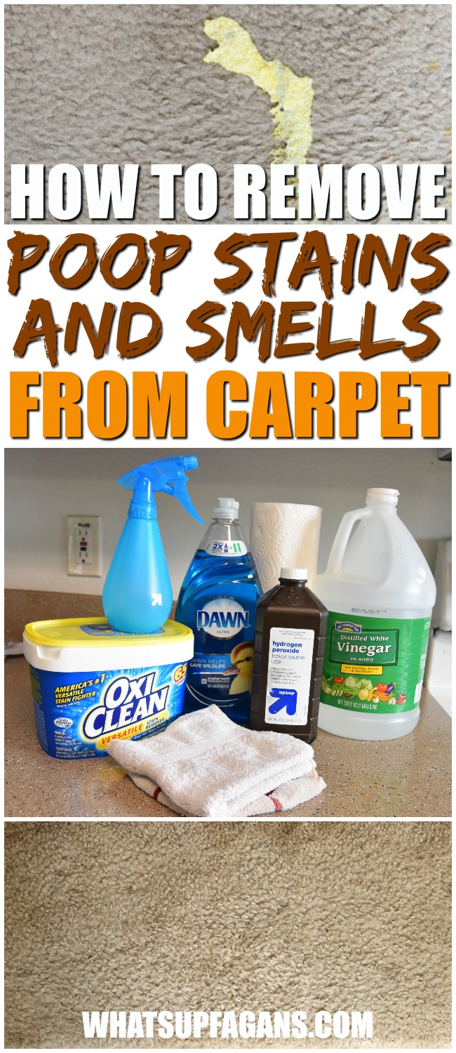 Remove Poop Stains and Smells from Carpets with this DIY Solution