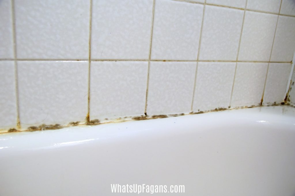 Black Mold In Your Shower Caulking, How To Clean Mold From Bathroom Tile Grout