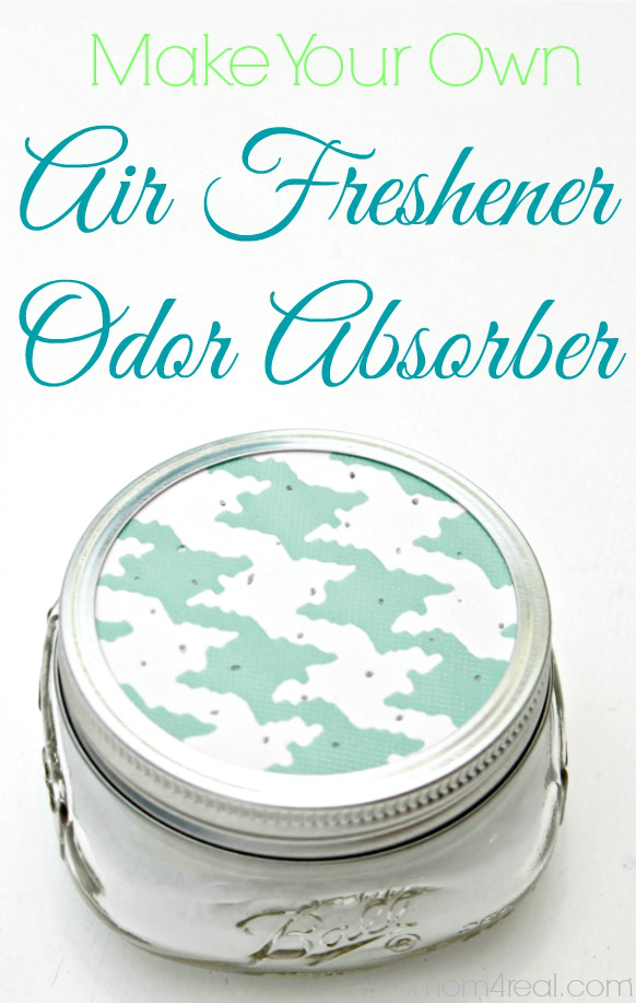 Make your own air freshener odor absorber 