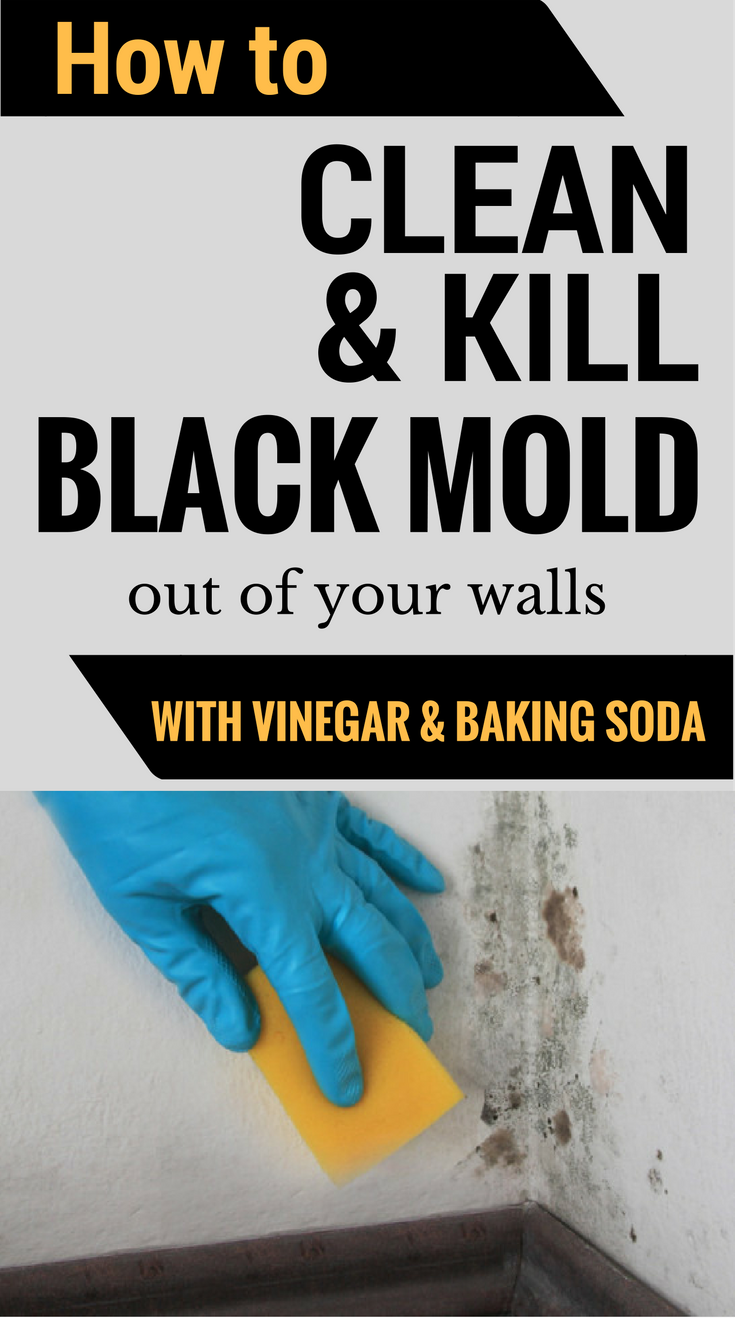 How to clean and kill black mold out of your walls with vinegar and baking soda. 