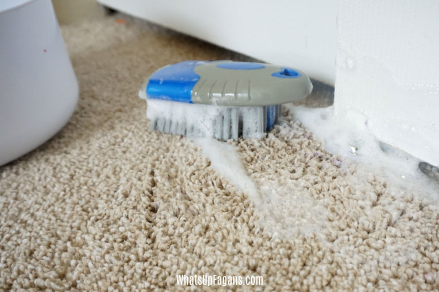 soapy and bubbly carpet brush during attempts to remove acrylic paint from carpet when dry