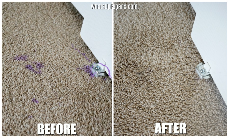 before and after collage showing how to remove acrylic paint from carpet